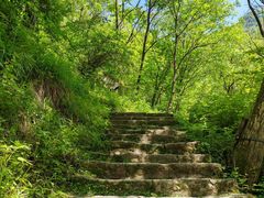 -少华山国家森林公园