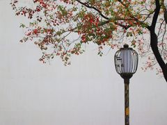 -老门东历史文化街区