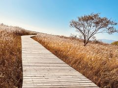 -野鸭湖国家湿地公园