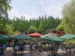 -湖畔居茶楼(湖滨店)