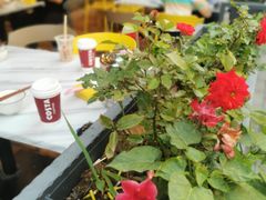 -邱大妈水煮(龙山店)
