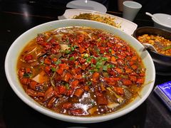 毛血旺-陈麻婆豆腐总店