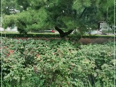 -素行天下(国投财富广场店)