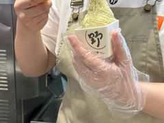 -野人先生现做冰淇淋(西安赛格店)
