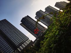 -重庆医科大学附属第一医院(本部)