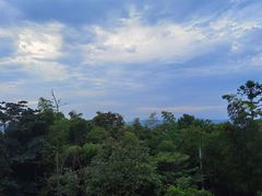 -缙云山景区