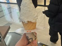 -野人先生Gelato(上海长宁龙之梦店)