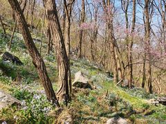 -封龙山风景区