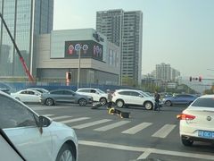 -贡湖湾湿地公园