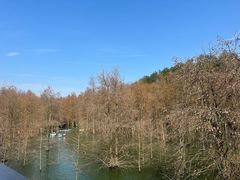 -青山湖景区