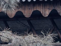 -郑州中国绿化博览园