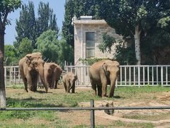 -石家庄市动物园