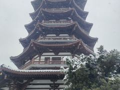 -洋湖国家湿地公园