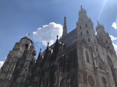 -斯蒂芬主教座堂(Stephansdom)
