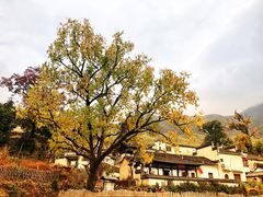 -塔川景区
