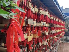 -峨眉山报国寺