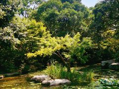 -上海滨江森林公园