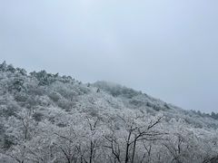 -浙西天池景区