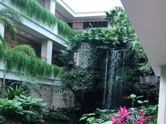 -白天鹅宾馆-宏图府餐厅