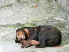 -大连森林动物园