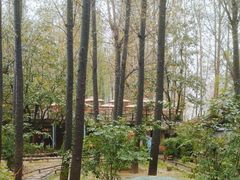 -林间山庄