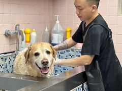-FAELING PETS美天灵宠物(富力广场店)