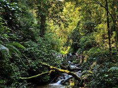 -德宏芒市国际机场