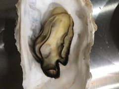 -三子烤羊腿·海鲜(弘阳店)
