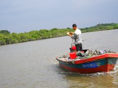 -东寨港红树林旅游区