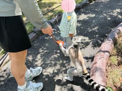 -贵州森林野生动物园