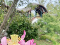 -红山体育乐园