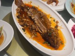 -新侨小馆(东直门北小街店)