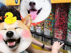 -m豆巧克力世界(上海世茂广场店)