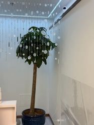 -时光畔·酷雪·痘肌