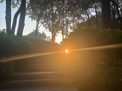 -火炉山森林公园