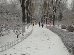 -迎泽公园