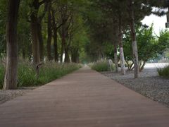 -汉长安城未央宫国家考古遗址公园