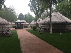 -九十九顶毡房(阜石路店)