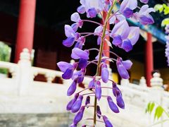-北京国子监胡同