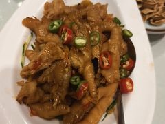 -海派美食·家宴海鲜青岛菜·石锅鲽鱼头(东方城店)