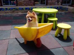 -素心小筑(后沙裕镇店)