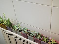 -北青自习室(清源路店)