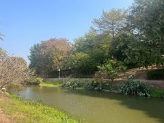 -大旗头古村