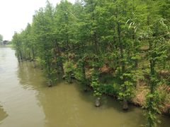 溱湖国家湿地公园-溱湖国家湿地公园