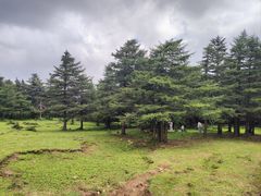 -芦芽山旅游度假区