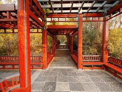 -北坞公园
