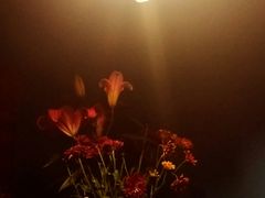 android_upload_pic-星宿秘码(鼓浪屿老店)