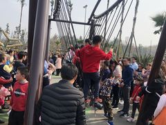 -枫香湖儿童公园