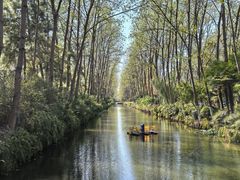 -合肥滨湖国家森林公园