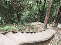 -火炉山森林公园
